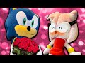 Sonic Zoom - Sonic Loves Amy!?