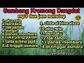 Download Lagu MP3 Gambang Kromong Dangdut 2 jam nonstop _ terjernih Mp3 Free