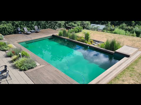 How to build a natural organic swimming pool: Part II, 3 years after construction