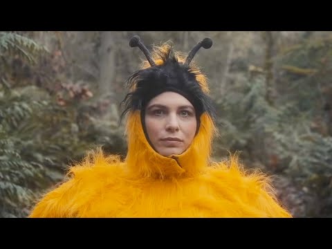 The Head and the Heart - Honeybee [Official Music Video]