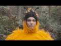 The Head and the Heart - Honeybee [Official Music Video]