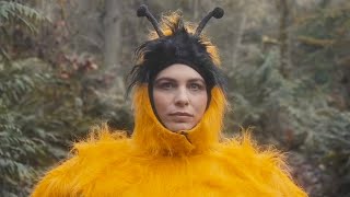 The Head and the Heart - Honeybee [Official Music Video]