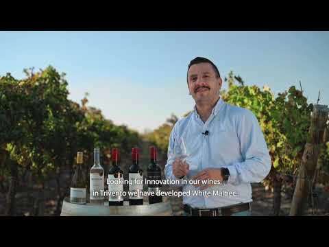 Trivento Reserve White Malbec