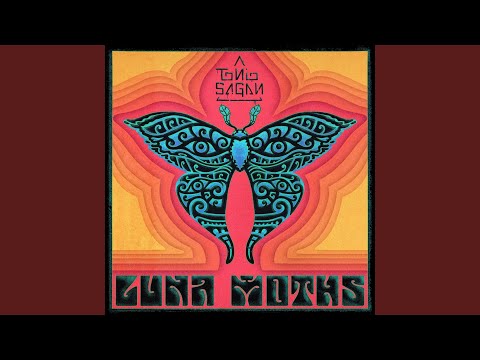 Luna Moths (feat. Michael Wilbur & Erick t Coomes)