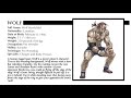Virtua Fighter Remix Wolf Profile