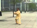 Chen Taijiquan. Master Zhang Qilin