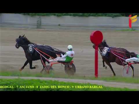 VI corsa del 19 novembre 2022 - 5 anni ed oltre - Metri 2000