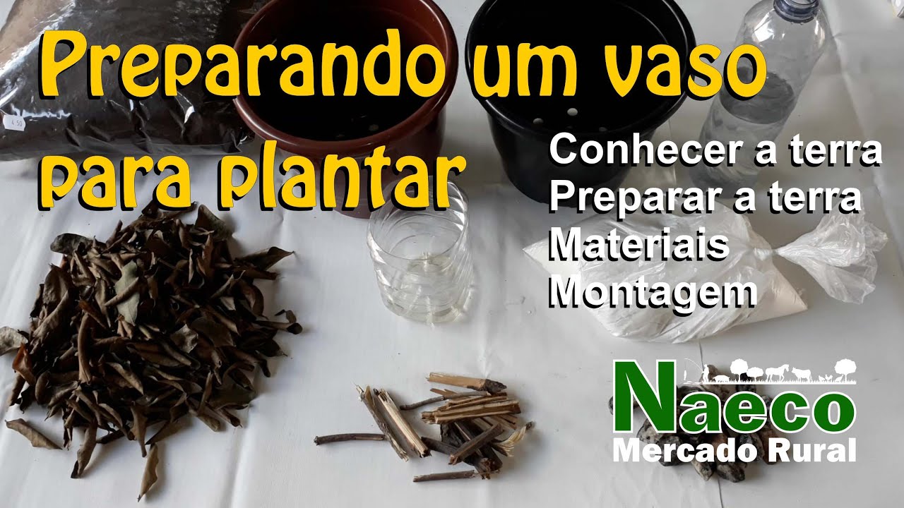 Preparar uma vaso para plantar.