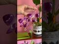 Beautiful Orchid Hoops Resin Earring Resin Art Business Bloomsandlove