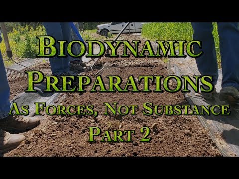 Biodynamic Preparations As Forces, Not Substance Part 2