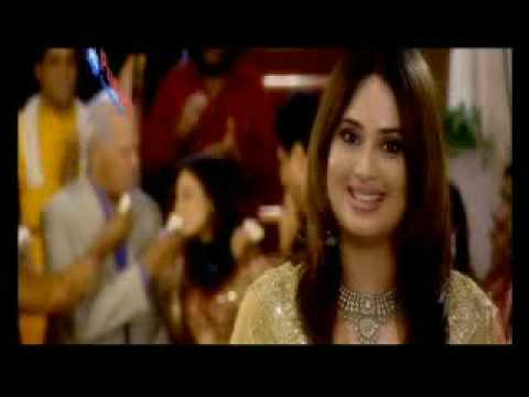 Video introducing Punjab Insurance team and offices