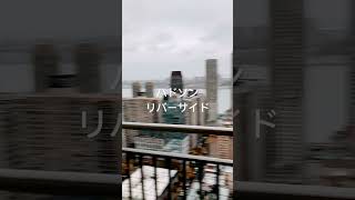 Friend’s house #dog #ニューヨーク