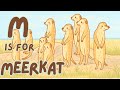 M Is For Meerkat ABC African Animals Songs Pastel Art