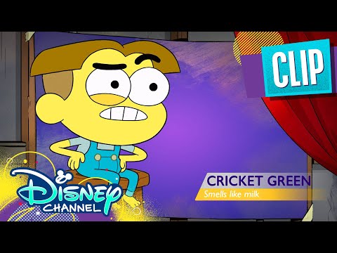 The Room Reality | Big City Greens | Disney Channel Animation