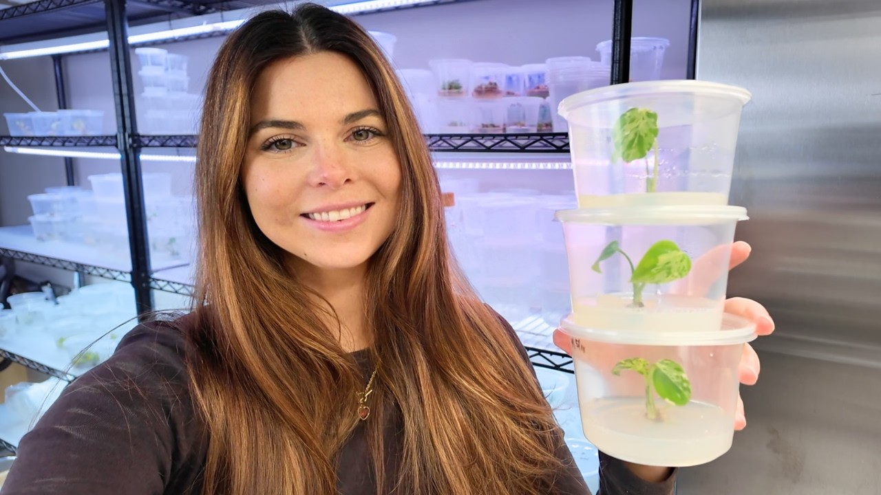 I Tried Cloning Rare Plants from China 🇨🇳