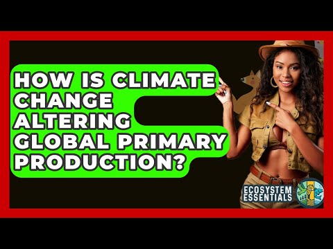 How Is Climate Change Altering Global Primary Production? - Ecosystem Essentials