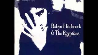 Robyn Hitchcock &amp; The Egyptians - Balloon Man (1988)