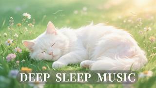 Deep Sleep Music with Animals 🐾 | 動物と眠るやさしい癒し音楽59