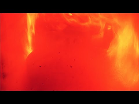 Masa Orpana Honk - The Dog