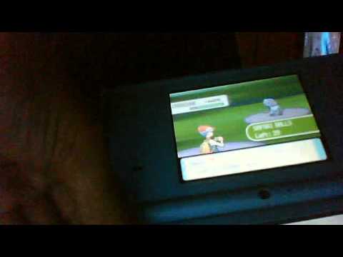 how to catch a croagunk in D/P