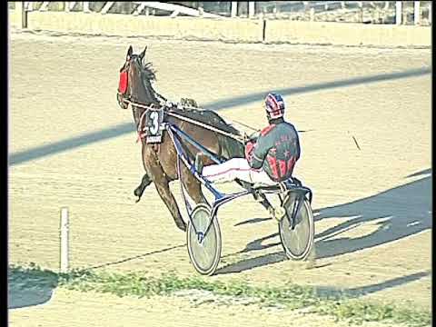 Trotto 30/01/2018 - 3ª corsa