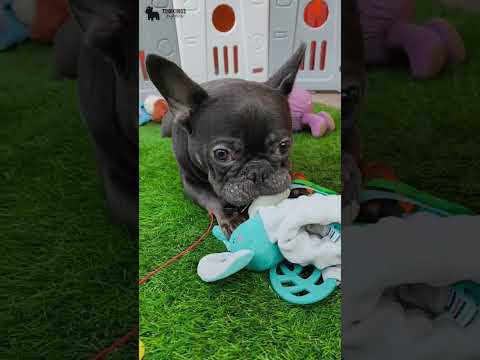 Video 5