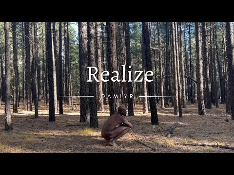 Damiyr - Realize