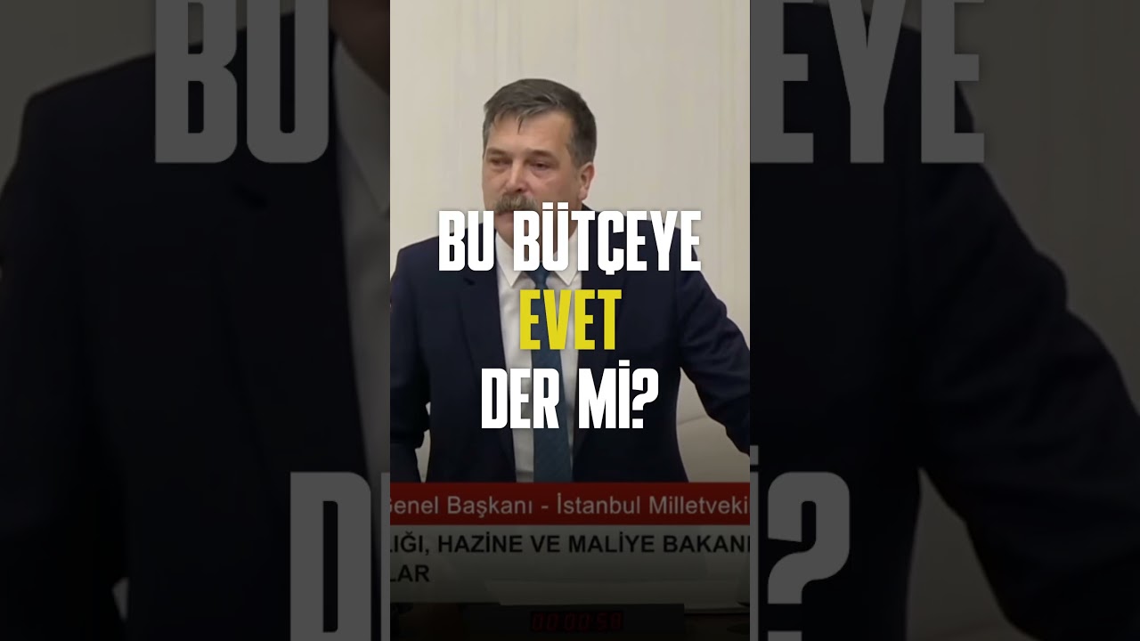 Ciğerci kedilerinin bütçesine, sokak kedilerinin cevabı...