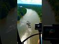 World Biggest Anaconda In The Amazon Forest Amazon Amazonian Amazonia Amazonwildlife Anaconda