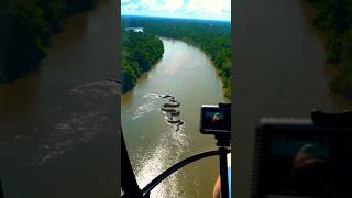 Download lagu World Biggest Anaconda in the Amazon forest | #amazon #amazonian #amazonia #amazonwildlife #anaconda mp3