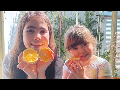 Saga:vídeos com minha prima|Olaria em Indiana São Paulo|parte 1