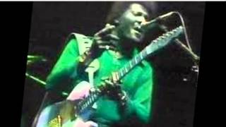 The hawk - Albert Collins