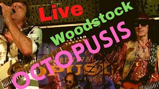 Download lagu Top 100 Classic Rock songs - Woodstock (Crosby, Still and Nash) - Octopusis cover mp3
