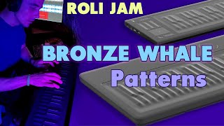 Bronze Whale - Patterns (Roli SeaBoard Cover)