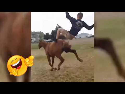 Animais de Fazenda Espertos e Engraçados | PARTE 12 🐷🤣 | Você Vai Rir MUITO!*🐮