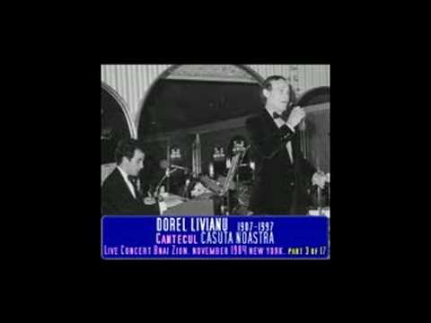 DOREL LIVIANU - Casuta noastra - 1984 Bnai Zion