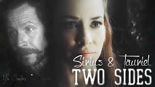 ϟ Two Sides Of Same Coin || Tauriel/Sirius Black [TCVC2]