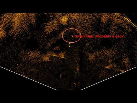 Lowrance Active Target in Scout mode while Trolling Salmon on Columbia River