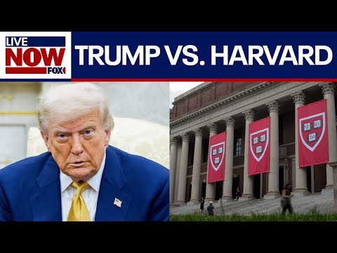 Video | Trump: federal government will stop sending money to Harvard