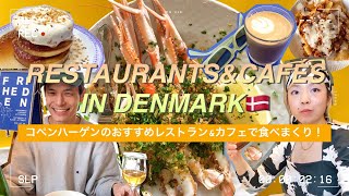 【北欧在住日本人】デンマーク🇩🇰コペンハーゲンの絶品人気レストラン＆カフェ🍽️／旅行・留学・ワーホリにおすすめ【ヒュッゲな暮らし】