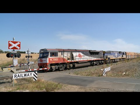 1PM9 SCT Diesel Freight Train At Railway Crossing (17/3/2021) - PoathTV Australian Railways