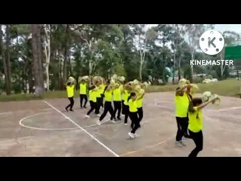 Drill dance step by yellow and green house teachers trainees batch21_24