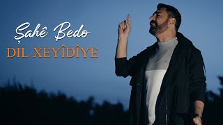 ŞAHÊ  BEDO - DIL XEYÎDÎYE [Official Music Video]