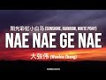 "Nae Nae Ge Nae Nae" | Wowkie Zhang - Sunshine, Rainbow, White Pony (Easy Lyric Video)
