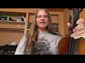 Day 164 - “Sheba’s Jig” - Patti Kusturok’s 365 Days of Fiddle Tunes
