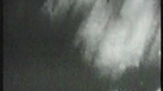 GG Allin - You´ll Never Tame Me