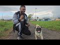 Nigel Gobin - D Dog And Cat [Official Music Video] (2024 Chutney Soca)