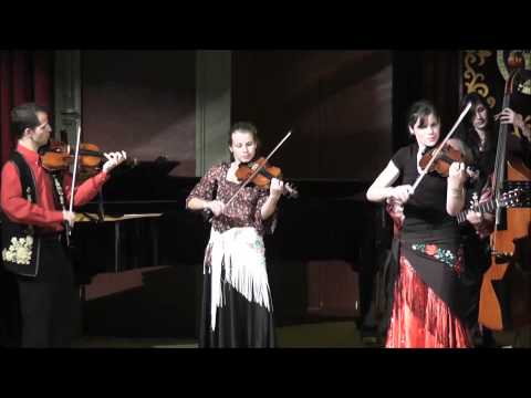 Violons Tziganes - Ayabibi