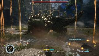 初期ステ縛り ノーダメ 腐食体ヌェ 前哨戦 Beast of Reincarnation