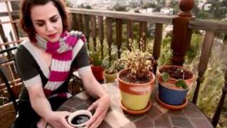 Petra Haden ~ Bach Prelude: No. 2 in C Minor (For Well Tempered Voice)